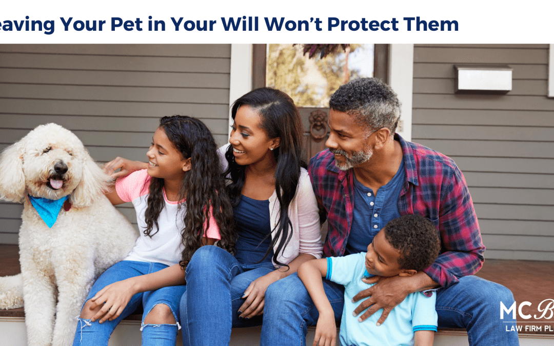 As A Pet Owner, Leaving Your Pet in Your Will Won’t Protect Them – Do This Instead