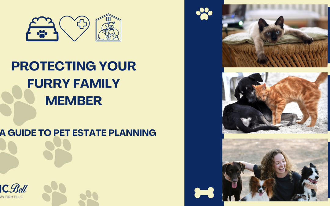 Protecting Your Furry Family Member: A Guide to Pet Estate Planning